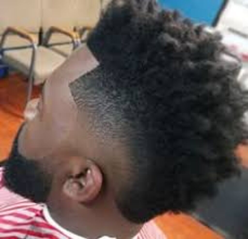Bro Hawk hairstyles